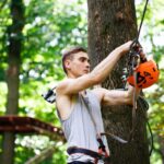 How to Find the Best Arborist in Sydney for Tree Services