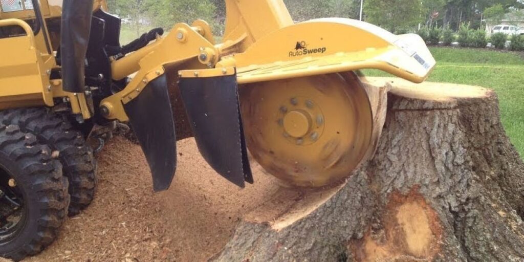grinding roots after tree removal