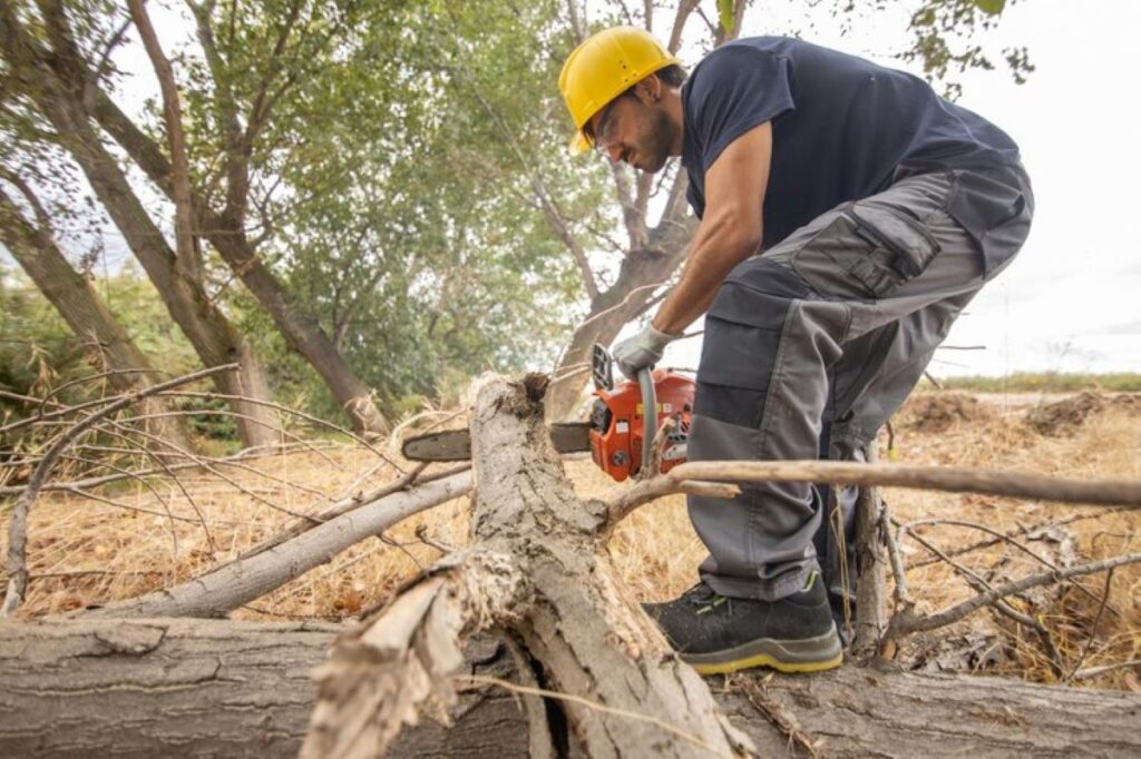 Stump Grinding Sydney