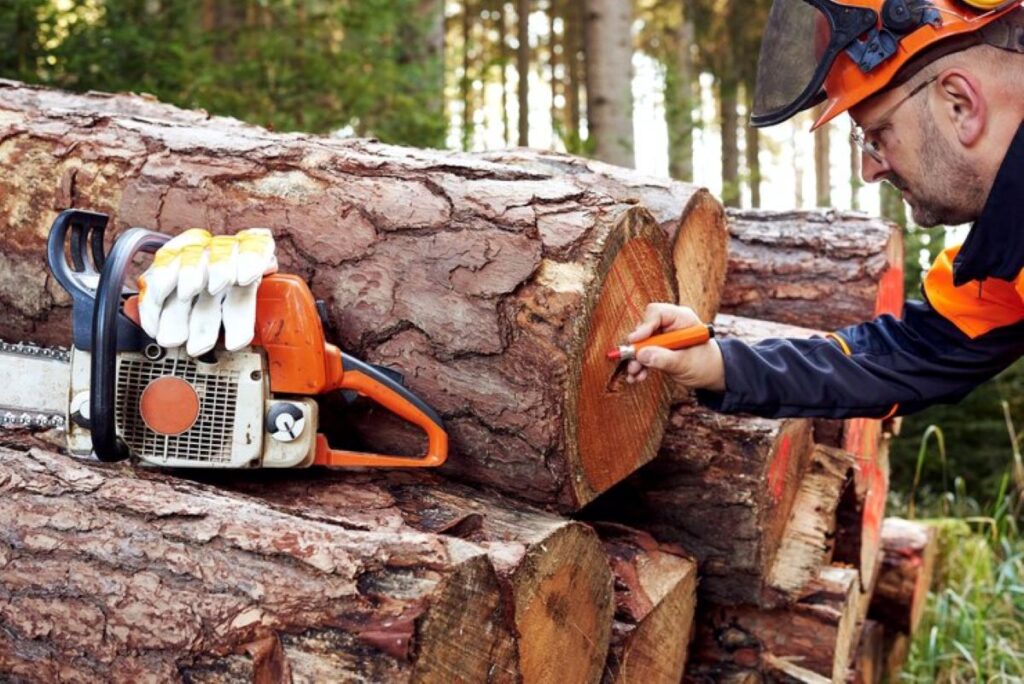 Stump Grinding Sydney