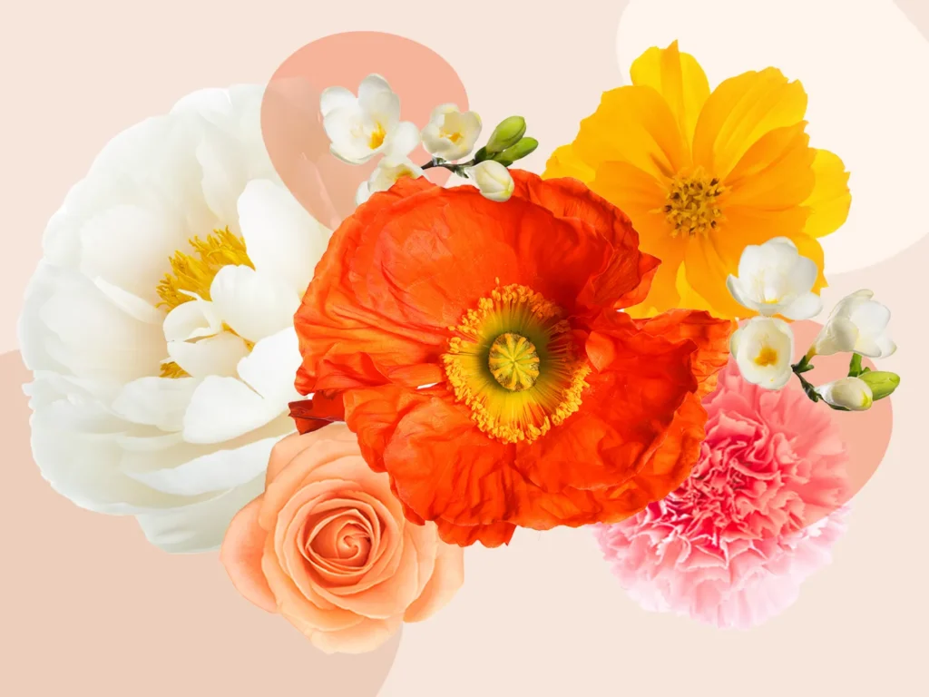 Happy Anniversary Flowers: Make the Day Feel Like Yours